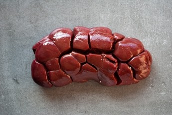 Ox Kidney