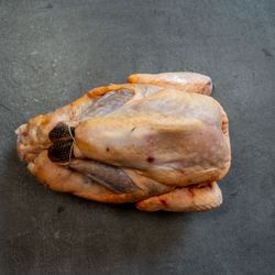 Guinea Fowl