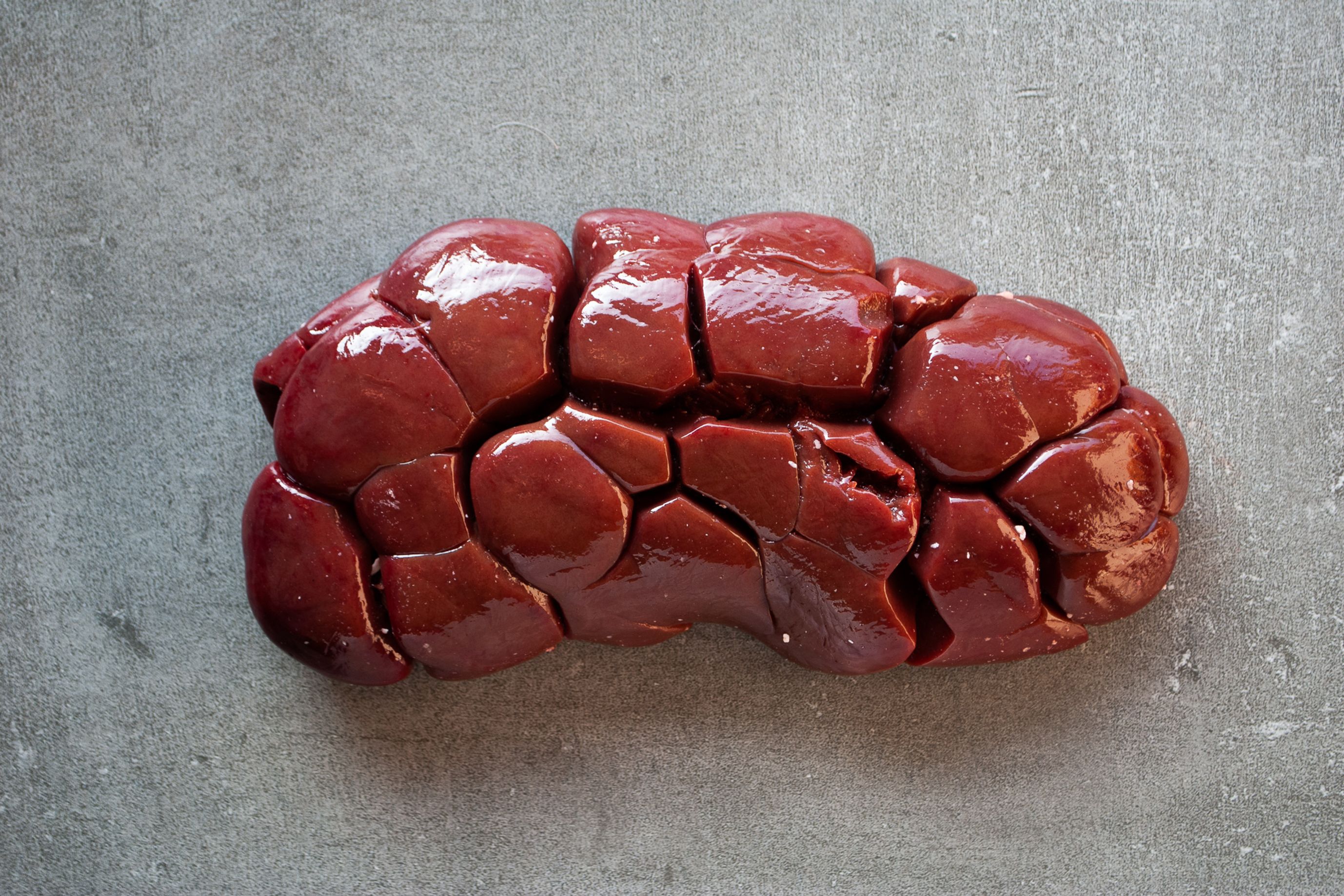ox kidney