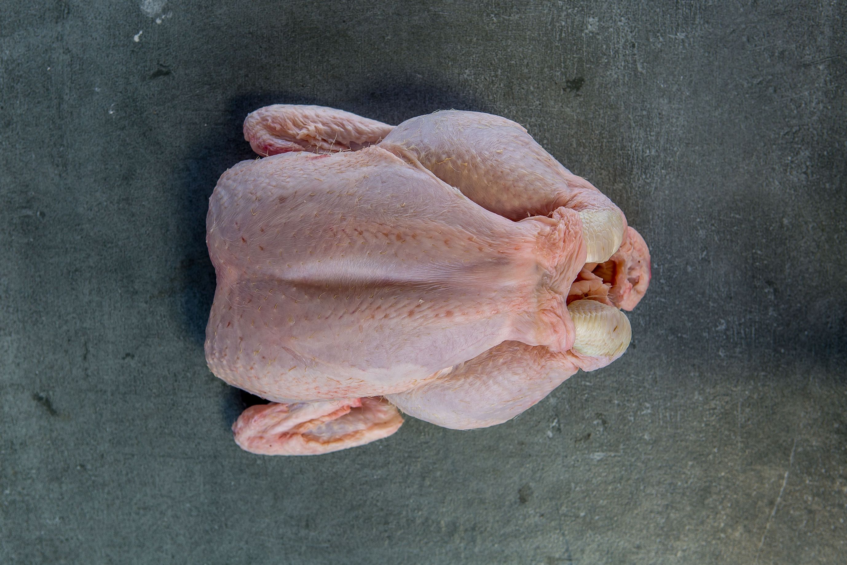 chicken